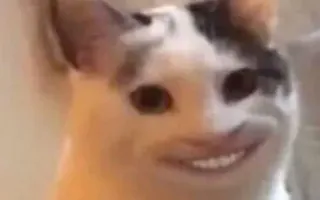 😁 752936ff 猫, 表情包, 动物, 搞笑, 恐怖, 人脸 telegram sticker