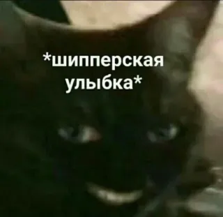 😁 81b5a75f *шипперская улыбка* 猫, 动物, 微笑, 表情包, 黑猫 telegram sticker