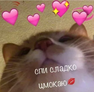 🌚 f3385097 спи сладко
цмокаю 猫, 爱心, 可爱, 美梦, 亲亲 telegram sticker