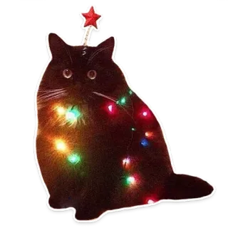 🎄 69261e35 แมว, ไฟคริสต์มาส, คริสต์มาส, วันหยุด, รื่นเริง, ดาว, การตกแต่ง, สัตว์ telegram sticker
