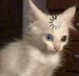 😋 90137dfa chat, chaton, chargement, réflexion, mignon, mème whatsapp sticker