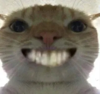 😊 ea57fd92 chat, mème, drôle, animal, animal de compagnie, dents, sourire narquois, sourire whatsapp sticker