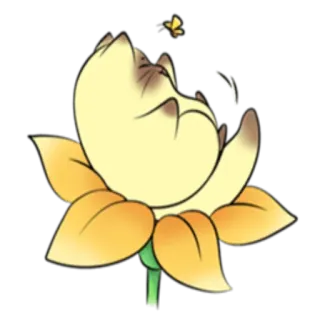 🦋 29d161b5 fleur, plante, nature, jaune, botanique, pétale, floraison whatsapp sticker