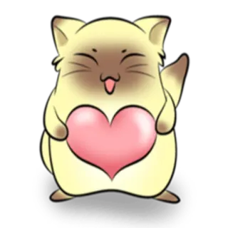 ❤ bb73535b chat, cœur, mignon, animal, autocollant whatsapp sticker