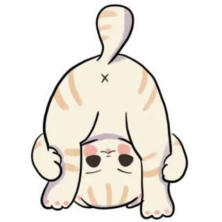 🍑 52bed4b1 кот, смешной, милый, животное, вверх ногами, игривый, котенок telegram sticker