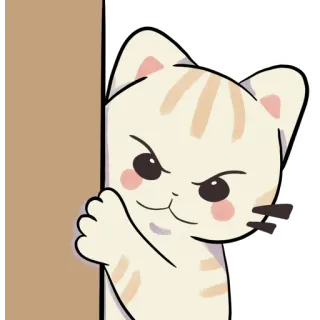 😈 e5fbdde7 кот, подглядывает, мультфильм, милый, животное telegram sticker