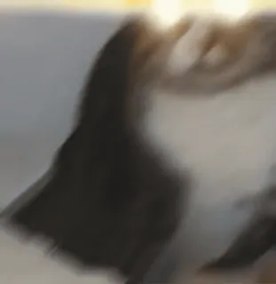 ❤️ 56d5f6ee whatsapp sticker