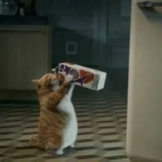 🐈 dc09a753 kot, pijący, mleko, zwierzę, kot domowy, śmieszne, słodkie telegram sticker