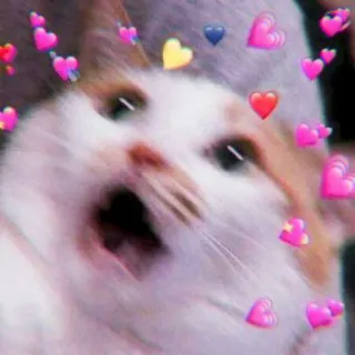 🍓 7be708b9 кот, сердечки, любовь, милый, животное whatsapp sticker