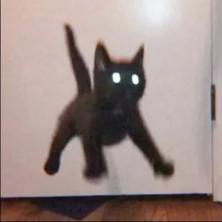 🐈 a1d65122 cat, black cat, animal, kitten, pet whatsapp sticker