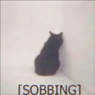 🐈 a734444a SOBBING cat, crying, sobbing, sad, animal, meme whatsapp sticker