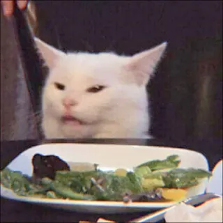 🐈 f349615d cat, meme, confused, dinner, salad, white cat whatsapp sticker