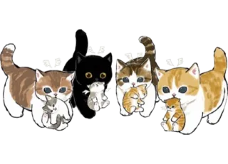 👼 23b2697a katten, kittens, dieren, schattig telegram sticker