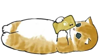 📱 5481ca83 kat, spelen, telefoon, kitten, schattig telegram sticker