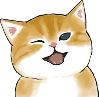 😉 d3fef694 kat, dier, schattig, sticker, oranje telegram sticker