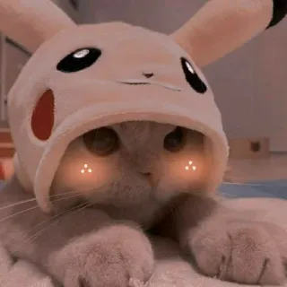 🐾 b40d9c30 Pikachu Pokemon cat, pikachu, pokemon, animal, cute, pet, kitten telegram sticker