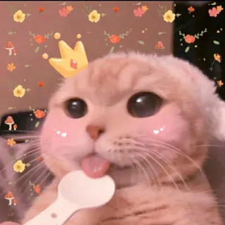 🐾 d79608d1 cat, kitten, crown, cute, animal, pet, kawaii telegram sticker