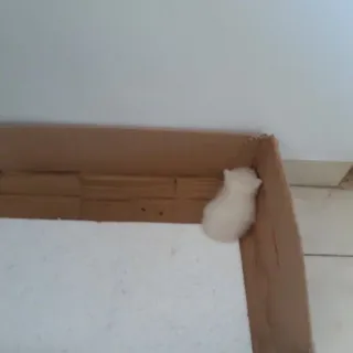 🪐 34bda0f7 telegram sticker