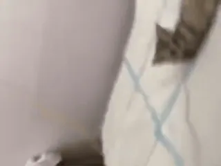 😏 bda132b3 telegram sticker