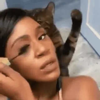 🤬 64f5dbab 여자, 고양이, 메이크업, 뷰티, 애완 동물 whatsapp sticker