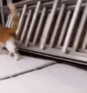 kitties by @norufx telegram stickers