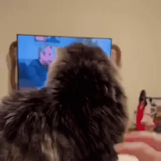 😳 18dcf8b8 kat, televisie, huisdier, dier, huiskat, harig telegram sticker