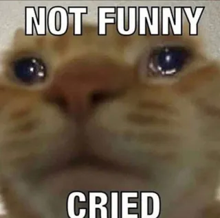 кіти :: @fStikBot telegram stickers