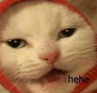 🌟 4fccd1b6 hehe 猫, ミーム, へへ, 面白い, ペット telegram sticker