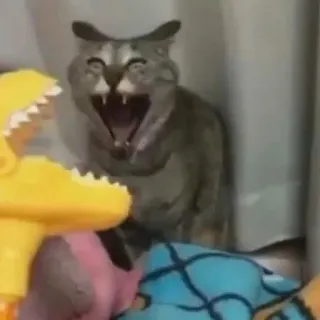 🌟 02e03663 кот, зевающий, животные, питомцы, милый telegram sticker