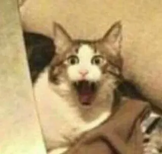 🤪 83f3bdfa кот, кричит, удивлен, испуганный, смешной telegram sticker