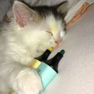 💤 95a88158 котёнок, кот, спящий, маркер, рисунок, милый, животное telegram sticker