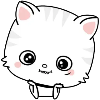 🥺 de050825 gatto, gattino, carino, animale, cartone animato telegram sticker