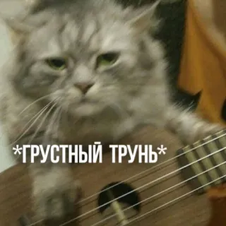 ☹️ 7b6d10ce *ГРУСТНЫЙ ТРУНЬ* gato, guitarra, meme, triste, engraçado whatsapp sticker