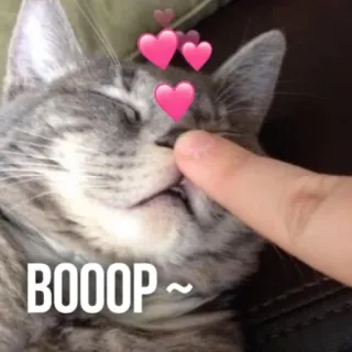 👆 b59b7d70 BOOOP~ gato, Boop, animal, corações, fofo, animal de estimação whatsapp sticker