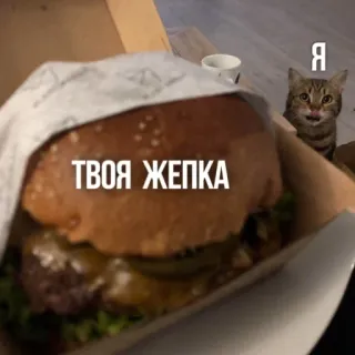 🍔 db5a1d25 ТВОЯ ЖЕПКА hambúrguer, gato, comida, animal, russo whatsapp sticker
