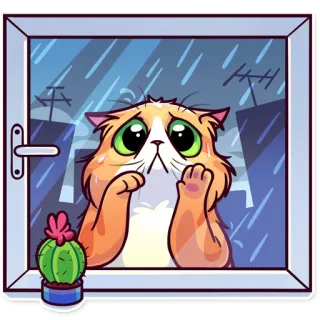 🌧 64efdb08 猫, 悲しい, 雨, 窓, かわいい, サボテン telegram sticker