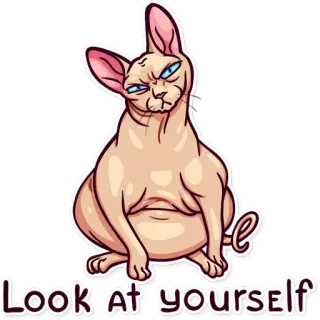 Meme Cats telegram stickers