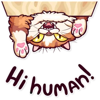 👋 c7a9ba56 Hi human! 猫, 面白い, 挨拶, 動物, ペット, 逆さま telegram sticker