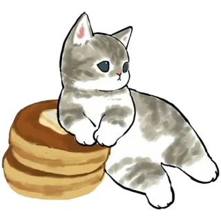 🍨 199c657e kucing, panekuk, lucu, hewan, makanan, hewan peliharaan whatsapp sticker