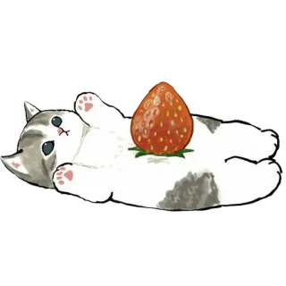🍓 a92d6059 kucing, anak kucing, stroberi, imut, hewan, buah whatsapp sticker