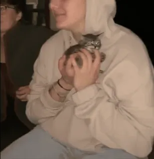 🐈 e1731096 chat, chaton, personne, sweat à capuche, mignon whatsapp sticker