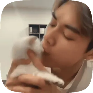 😘 9a98b914 pria, anak anjing, anjing, hewan peliharaan, binatang, lucu telegram sticker