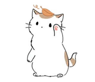 🌿 50f62491 gatto, gattino, carino, cartone animato, dito medio telegram sticker