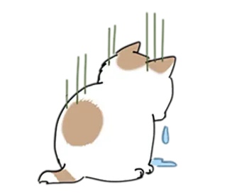 😭 7e640477 gatto, triste, piangere, animale, animale domestico telegram sticker