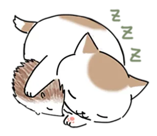 👥 94c36480 gatto, riccio, dormire, carino, animali telegram sticker