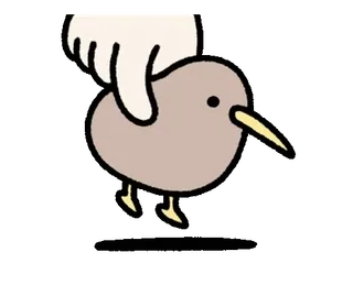 🤏 e2c51a7a pájaro, kiwi, animal, mano, lindo, pegatina telegram sticker