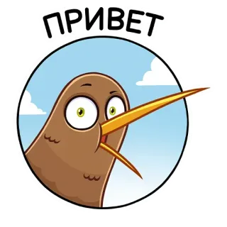 👋 5b57442b ПРИВЕТ Kiwi (oiseau), Dessin animé, Bonjour, Salut, Drôle, Mignon whatsapp sticker