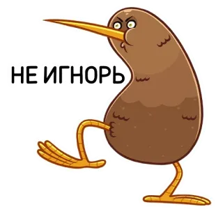 😠 80c184a7 НЕ ИГНОРЬ kiwi (oiseau), oiseau, drôle, en colère, dessin animé whatsapp sticker