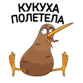 🐥 9eba02ec КУКУХА ПОЛЕТЕЛА oiseau, kiwi, drôle, dessin animé, fou, mème, argot whatsapp sticker