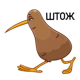 🤷‍♂️ bdcd10d1 ШТОЖ kiwi (oiseau), oiseau, autocollant, dessin animé, animal whatsapp sticker
